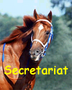 secretariat.png